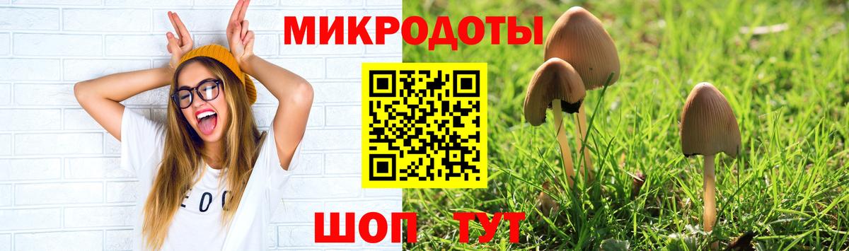 Галлюциногенные грибы MAGIC MUSHROOMS Сальск